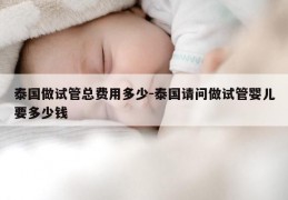 泰国做试管总费用多少-泰国请问做试管婴儿要多少钱