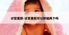 试管囊胚-试管囊胚可以移植两个吗