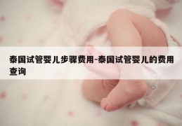 泰国试管婴儿步骤费用-泰国试管婴儿的费用查询