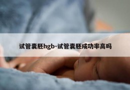 试管囊胚hgb-试管囊胚成功率高吗