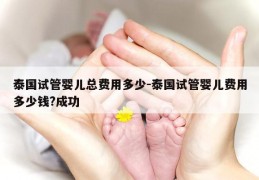 泰国试管婴儿总费用多少-泰国试管婴儿费用多少钱?成功