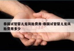 泰国试管婴儿龙凤胎费用-泰国试管婴儿龙凤胎费用多少