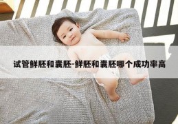 试管鲜胚和囊胚-鲜胚和囊胚哪个成功率高
