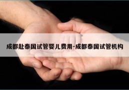 成都赴泰国试管婴儿费用-成都泰国试管机构