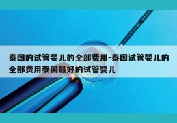 泰国的试管婴儿的全部费用-泰国试管婴儿的全部费用泰国最好的试管婴儿