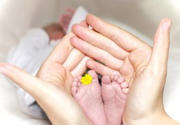 泰国lavida乐樱生殖中心做试管婴儿的总费用以及流程