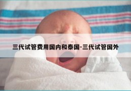 三代试管费用国内和泰国-三代试管国外