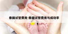 泰国试管费用-泰国试管费用与成功率