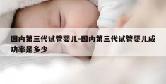 国内第三代试管婴儿-国内第三代试管婴儿成功率是多少