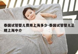 泰国试管婴儿费用上海多少-泰国试管婴儿正规上海中介