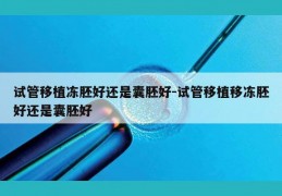 试管移植冻胚好还是囊胚好-试管移植移冻胚好还是囊胚好