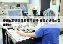 泰国试管回国保胎费用高吗-泰国的试管的费用标准