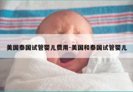 美国泰国试管婴儿费用-美国和泰国试管婴儿