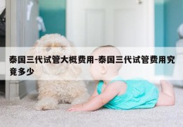 泰国三代试管大概费用-泰国三代试管费用究竟多少