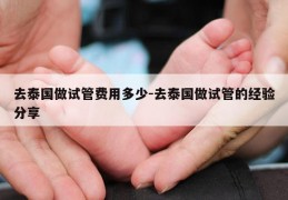 去泰国做试管费用多少-去泰国做试管的经验分享