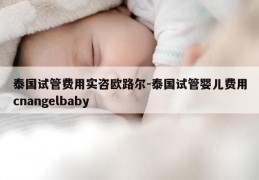 泰国试管费用实咨欧路尔-泰国试管婴儿费用cnangelbaby