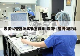 泰国试管基础实验室费用-泰国试管提供资料