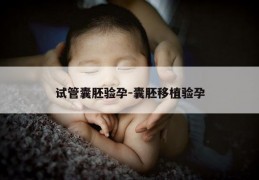 试管囊胚验孕-囊胚移植验孕