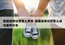 泰国借卵试管婴儿费用-泰国JL试管婴儿成功案例分享
