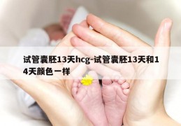 试管囊胚13天hcg-试管囊胚13天和14天颜色一样