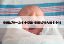 泰国试管一次多少费用-泰国试管大概多少钱