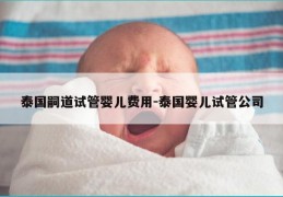 泰国嗣道试管婴儿费用-泰国婴儿试管公司