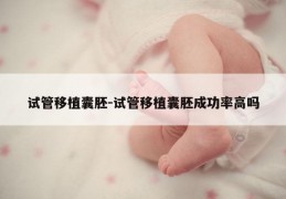 试管移植囊胚-试管移植囊胚成功率高吗