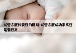 试管冻胚和囊胚的区别-试管冻胚成功率高还是囊胚高