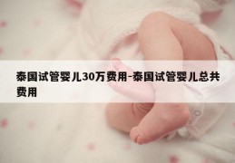 泰国试管婴儿30万费用-泰国试管婴儿总共费用