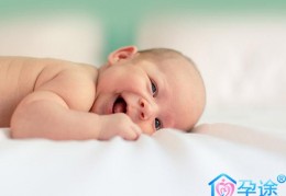 试管婴儿助孕为何一定要卵泡检测?