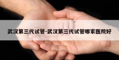 武汉第三代试管-武汉第三代试管哪家医院好