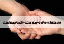 武汉第三代试管-武汉第三代试管哪家医院好