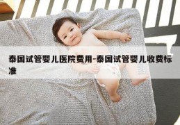 泰国试管婴儿医院费用-泰国试管婴儿收费标准