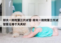 郑大一附院第三代试管-郑大一附院第三代试管婴儿哪个大夫好
