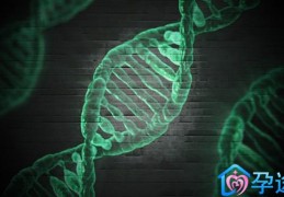 男性做试管婴儿要检查哪些项目