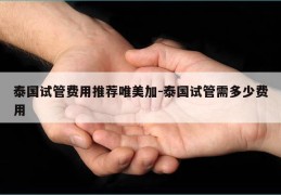 泰国试管费用推荐唯美加-泰国试管需多少费用