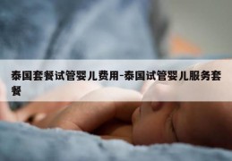泰国套餐试管婴儿费用-泰国试管婴儿服务套餐