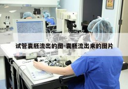 试管囊胚流出的图-囊胚流出来的图片