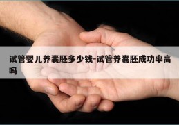 试管婴儿养囊胚多少钱-试管养囊胚成功率高吗