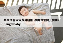 泰国试管宝宝费用明细-泰国试管婴儿费用cnangelbaby