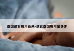 泰国试管费用还来-试管泰国费用是多少