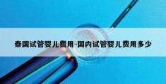 泰国试管婴儿费用-国内试管婴儿费用多少