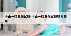 中山一院三代试管-中山一院三代试管婴儿费用