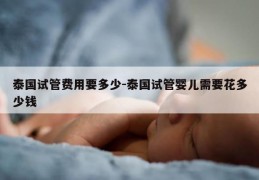 泰国试管费用要多少-泰国试管婴儿需要花多少钱