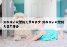 到泰国去试管婴儿费用多少-到泰国去试管婴儿费用多少