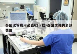 泰国试管费用必去61下拉-泰国试管的全部费用