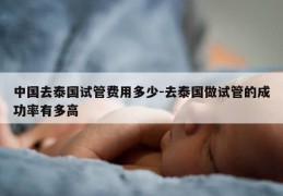 中国去泰国试管费用多少-去泰国做试管的成功率有多高