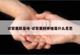试管囊胚是啥-试管囊胚移植是什么意思