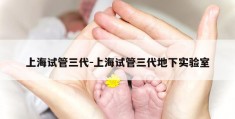 上海试管三代-上海试管三代地下实验室