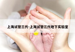 上海试管三代-上海试管三代地下实验室